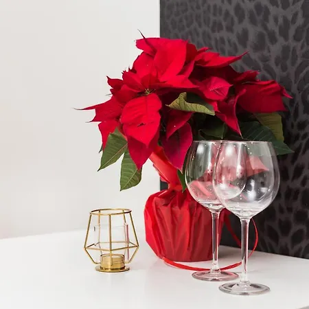 Apartmán Inpoint Krupnicza - 5 Minut From Main Square Self Check-in